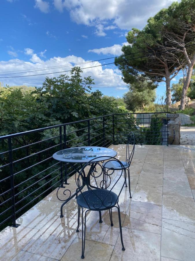 Home Sweet Home: Cozy Apartment with Terrace Near City and Sea Bastia  Exterior photo